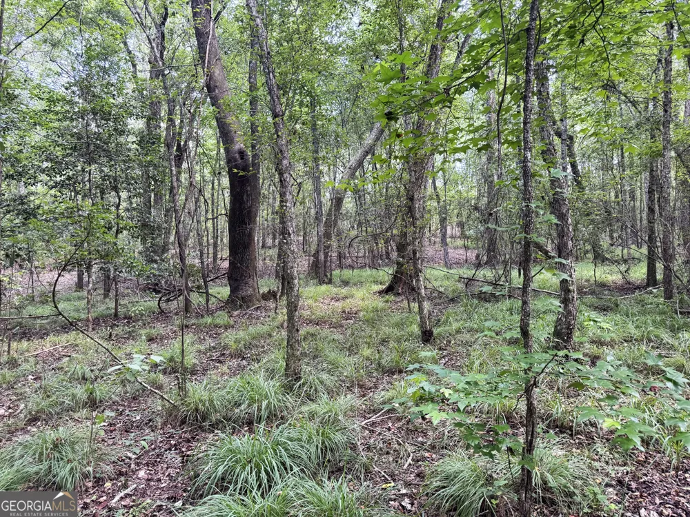 0 Wooten RD Cuthbert, GA 39840