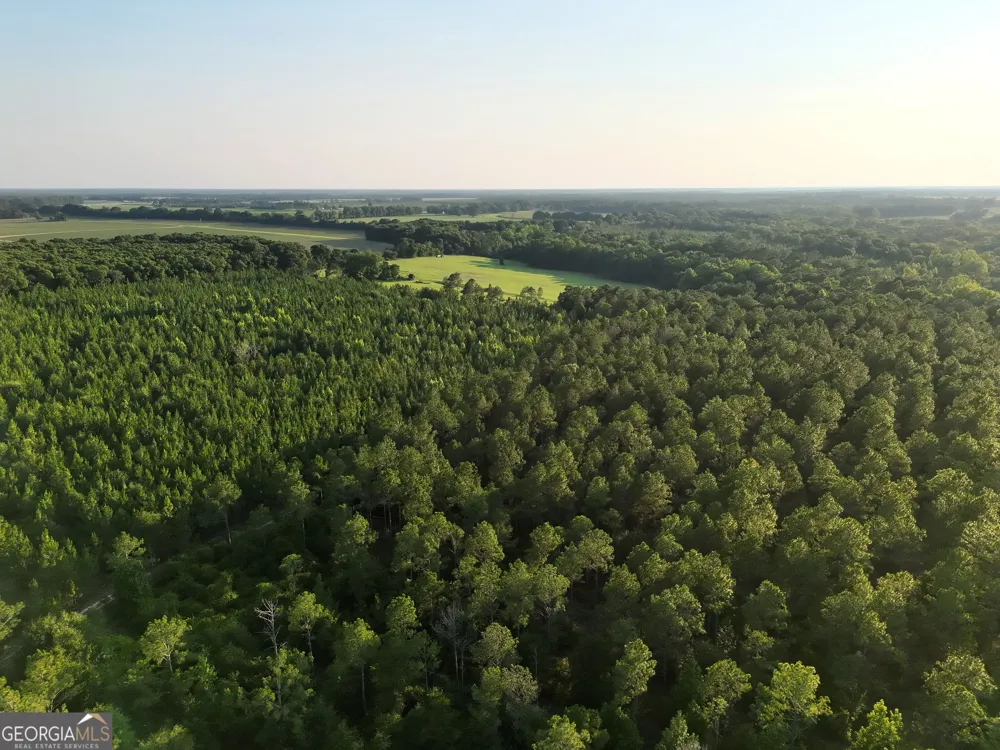 0 Wooten RD Cuthbert, GA 39840