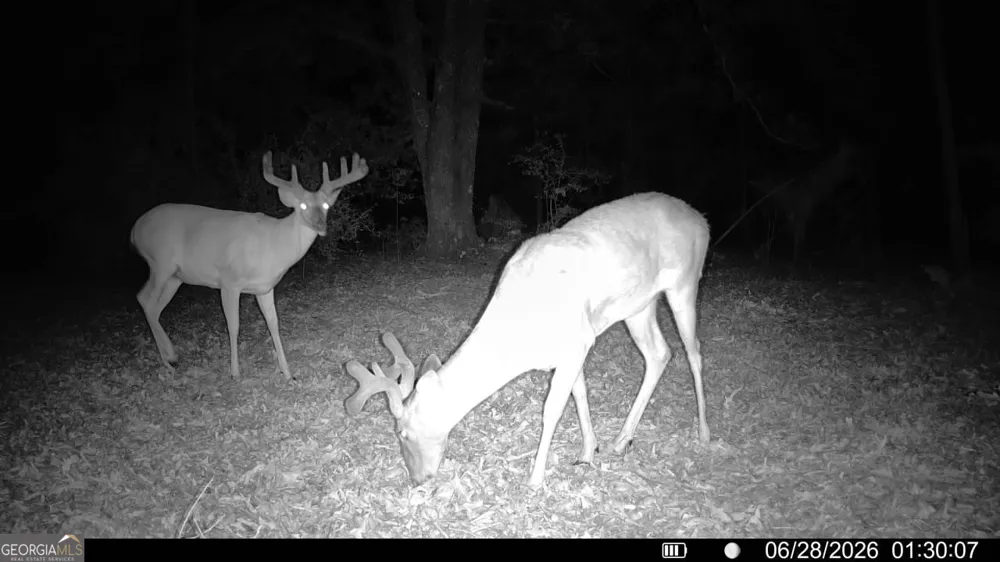 0 Wooten RD Cuthbert, GA 39840