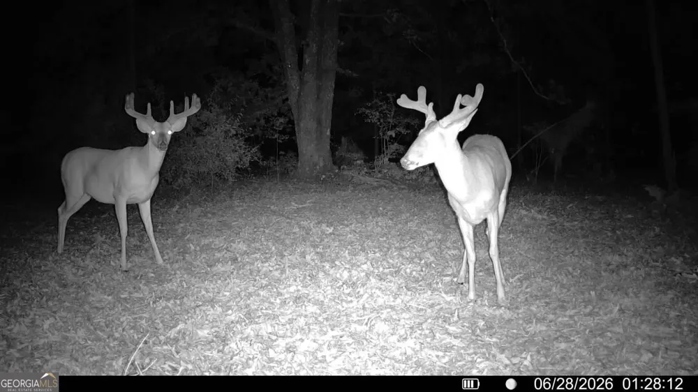 0 Wooten RD Cuthbert, GA 39840