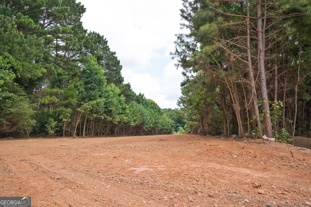 111 Askin Place Culloden, GA 31016