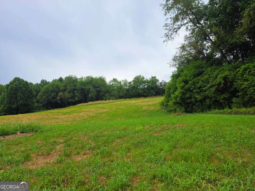 2490 New Hope RD Morganton, GA 30560