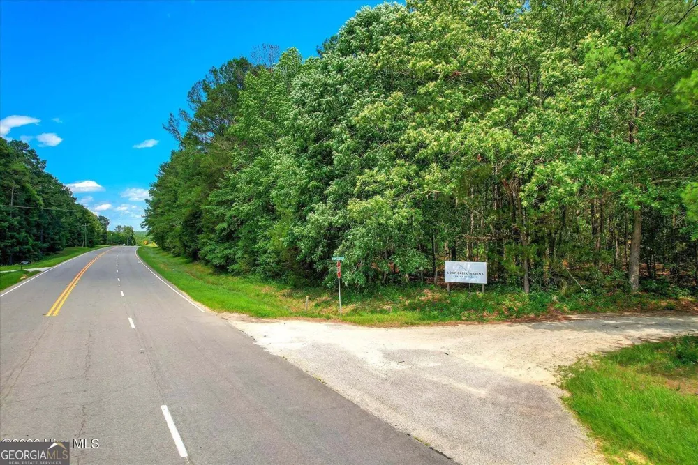 0 Hwy 378 and Ann Scott DR Lincolnton, GA 30817