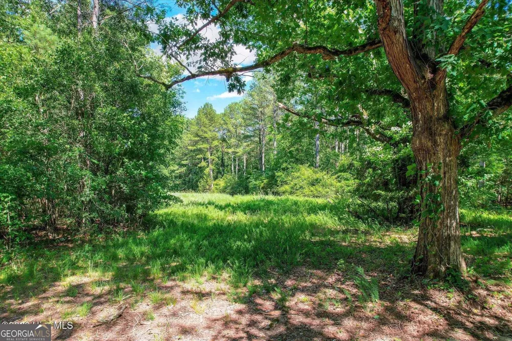 0 Hwy 378 and Ann Scott DR Lincolnton, GA 30817