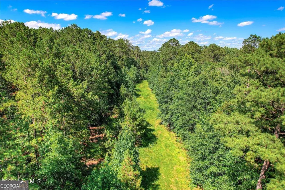 0 Hwy 378 and Ann Scott DR Lincolnton, GA 30817