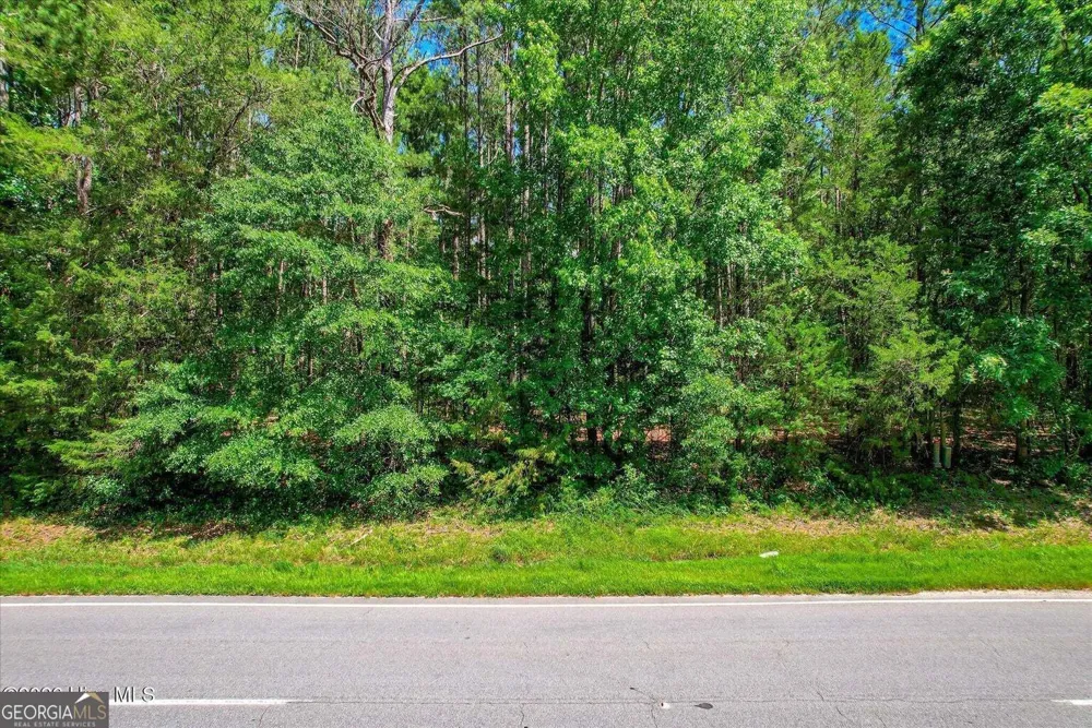 0 Hwy 378 and Ann Scott DR Lincolnton, GA 30817