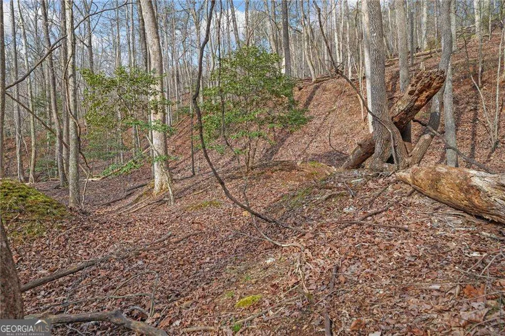 50 Old Stamp Mill RD Dahlonega, GA 30533