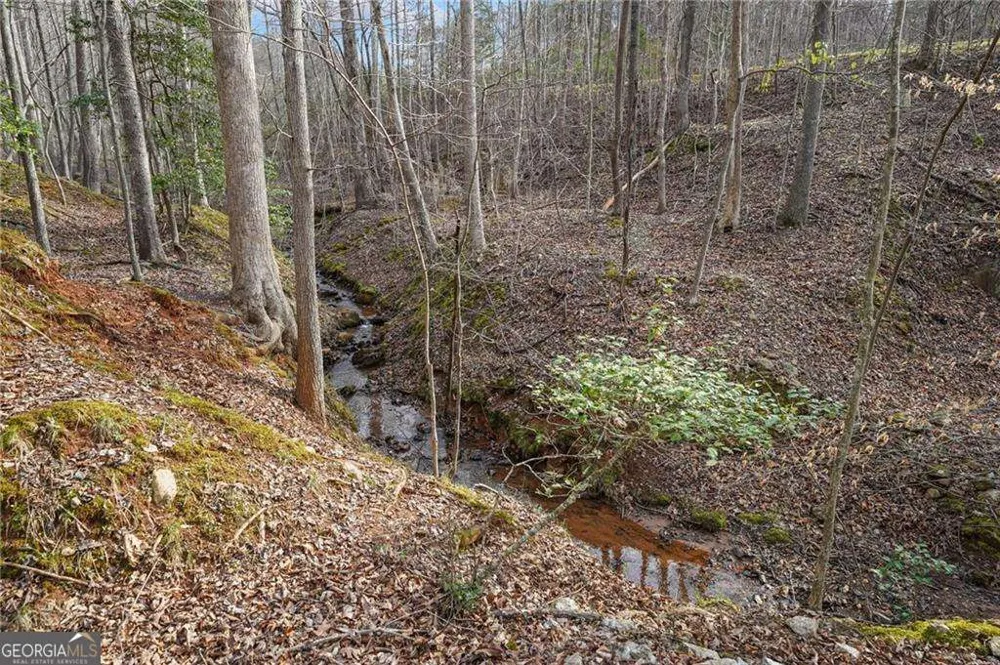 50 Old Stamp Mill RD Dahlonega, GA 30533