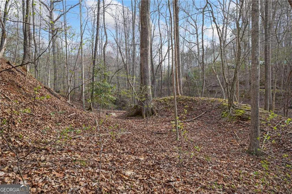 50 Old Stamp Mill RD Dahlonega, GA 30533