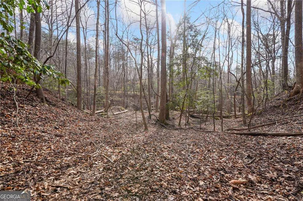 50 Old Stamp Mill RD Dahlonega, GA 30533