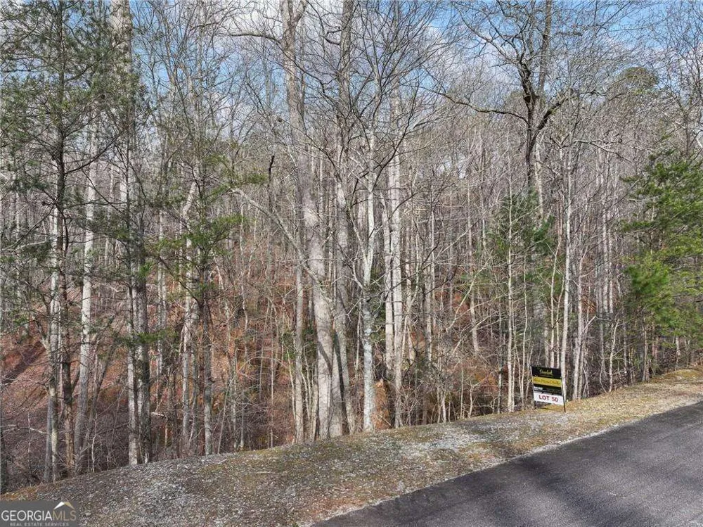 50 Old Stamp Mill RD Dahlonega, GA 30533