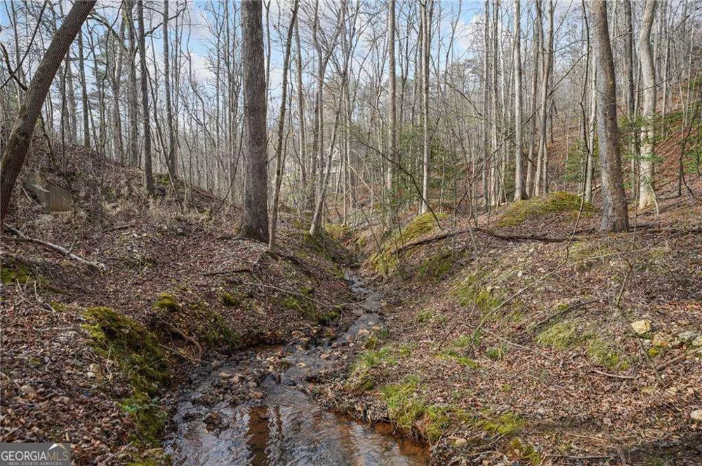 50 Old Stamp Mill RD Dahlonega, GA 30533