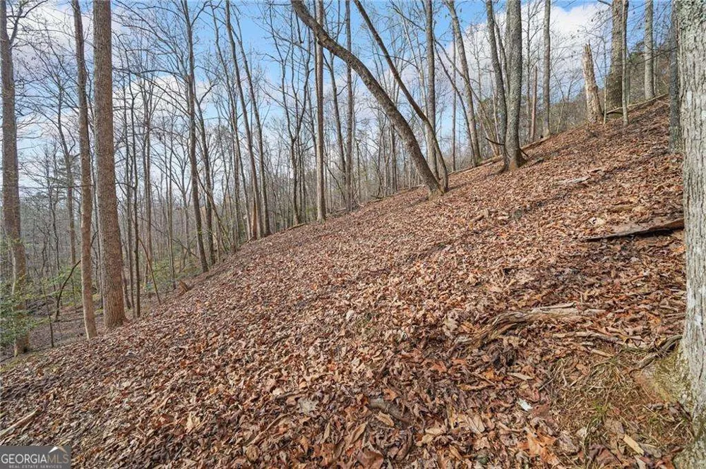 50 Old Stamp Mill RD Dahlonega, GA 30533