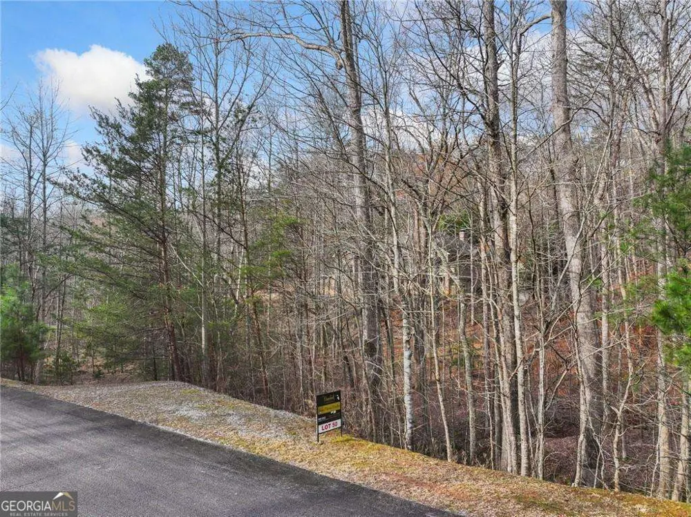 50 Old Stamp Mill RD Dahlonega, GA 30533
