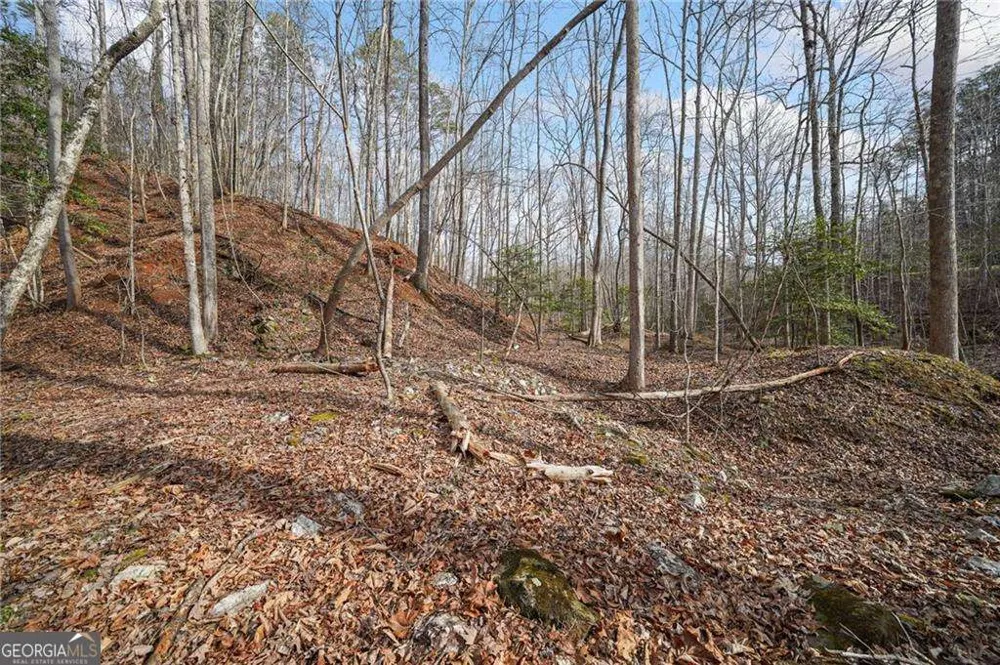 50 Old Stamp Mill RD Dahlonega, GA 30533