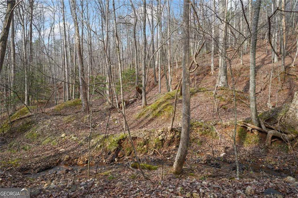 49 Old Stamp Mill RD Dahlonega, GA 30533