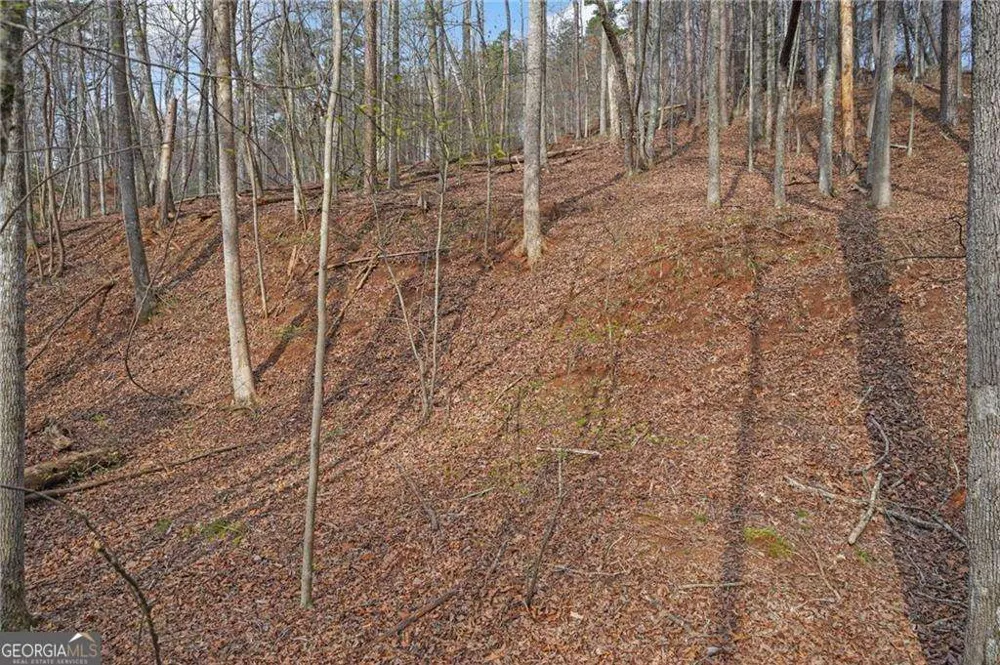 49 Old Stamp Mill RD Dahlonega, GA 30533