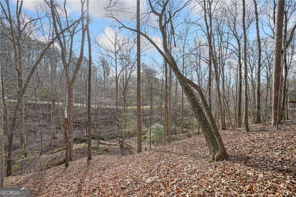 49 Old Stamp Mill RD Dahlonega, GA 30533