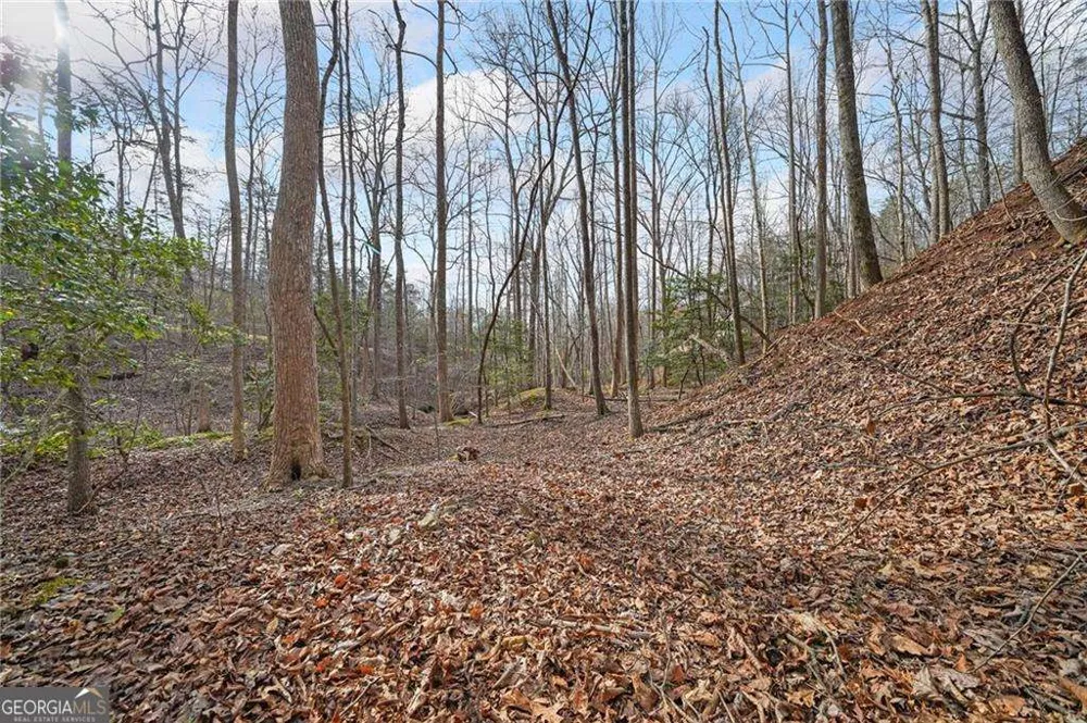 49 Old Stamp Mill RD Dahlonega, GA 30533