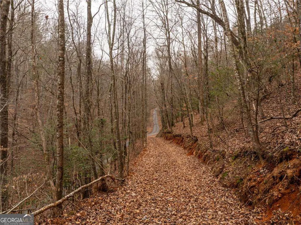 377 Soldiers PATH Dahlonega, GA 30533