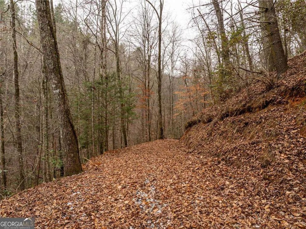 377 Soldiers PATH Dahlonega, GA 30533