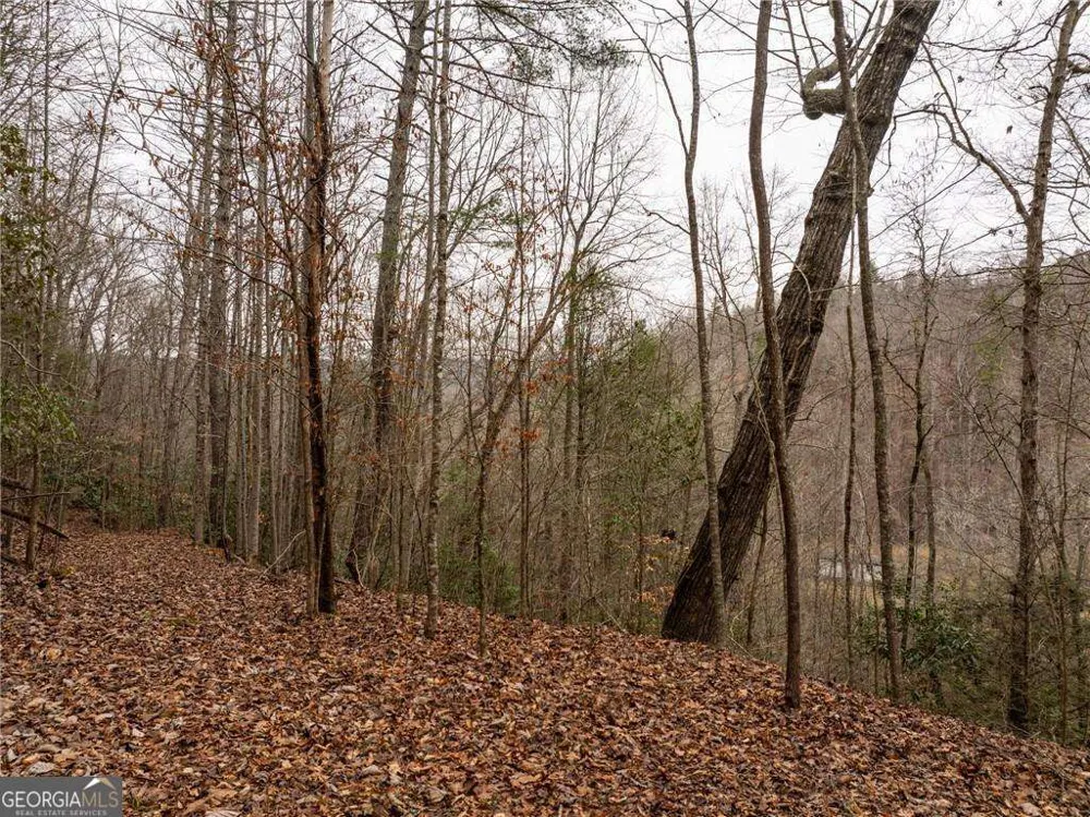 377 Soldiers PATH Dahlonega, GA 30533