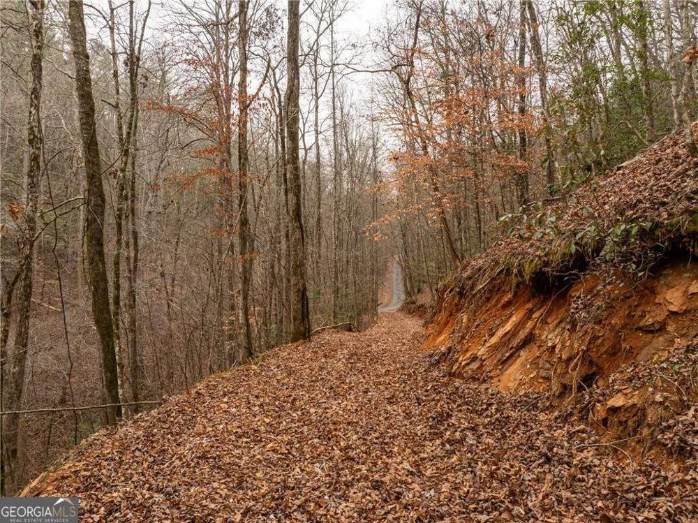 377 Soldiers PATH Dahlonega, GA 30533