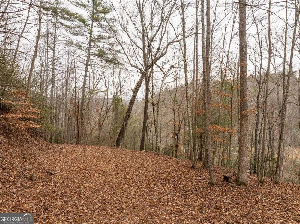 377 Soldiers PATH Dahlonega, GA 30533