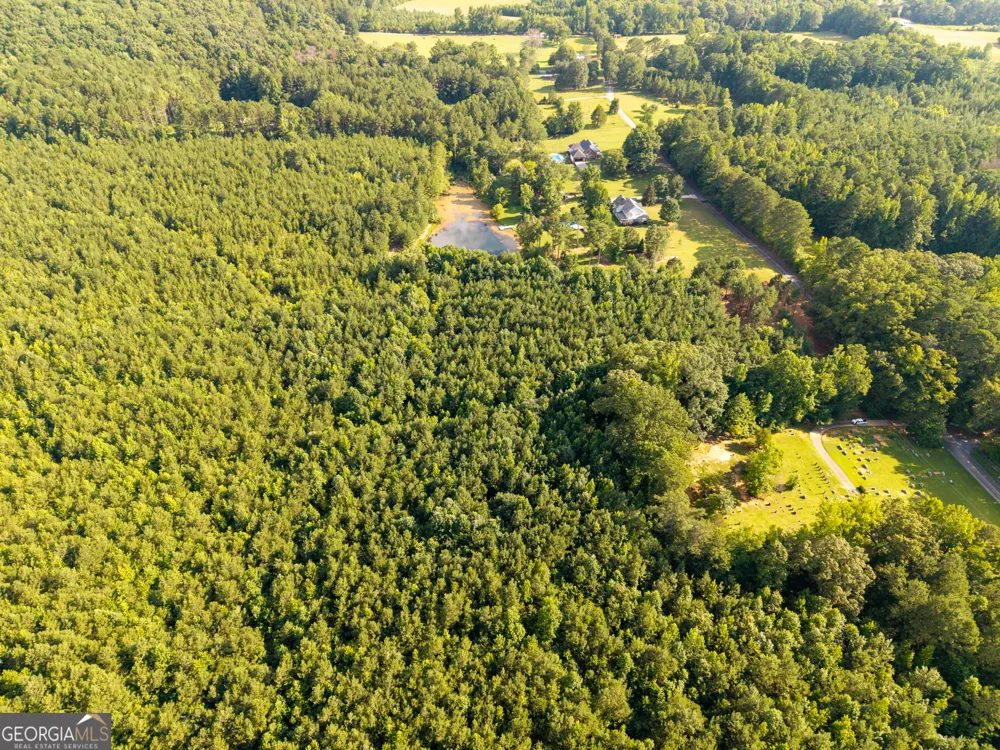 0 Hair Lake RD Summerville, GA 30747
