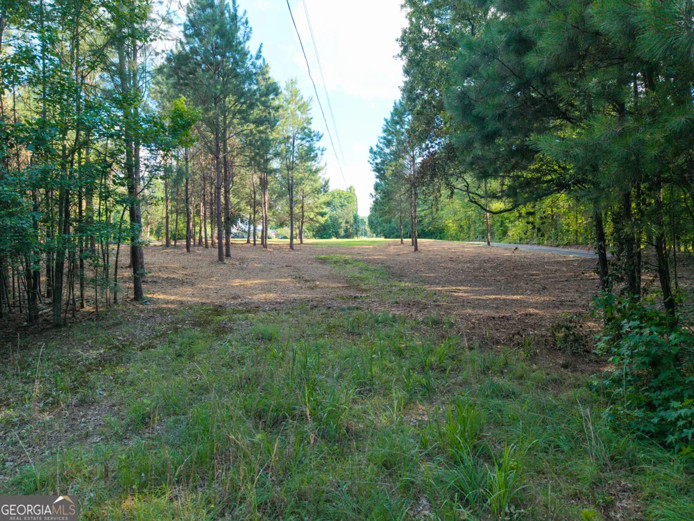 0 Hair Lake RD Summerville, GA 30747
