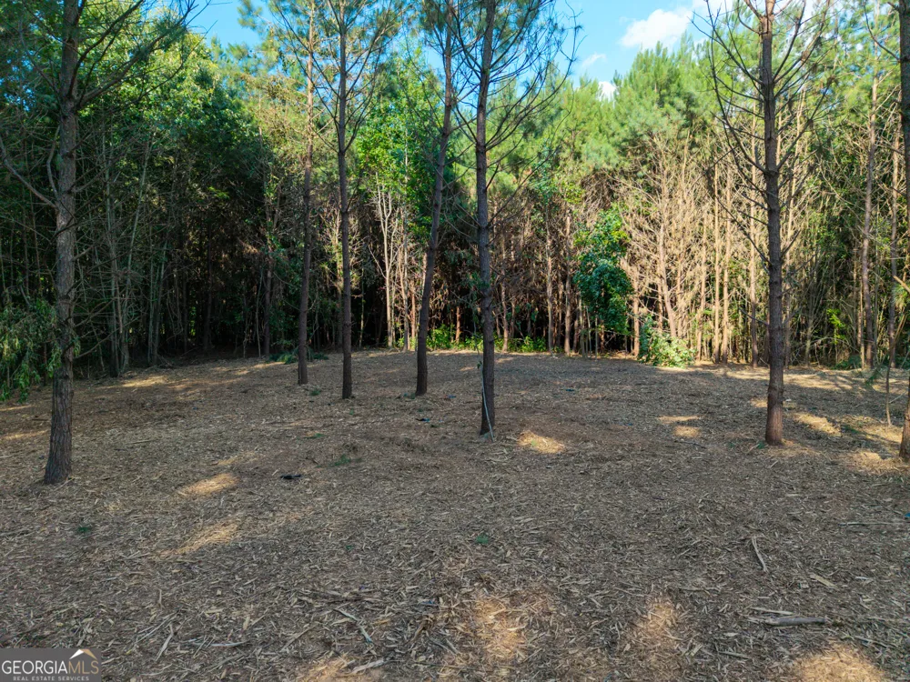 0 Hair Lake RD Summerville, GA 30747
