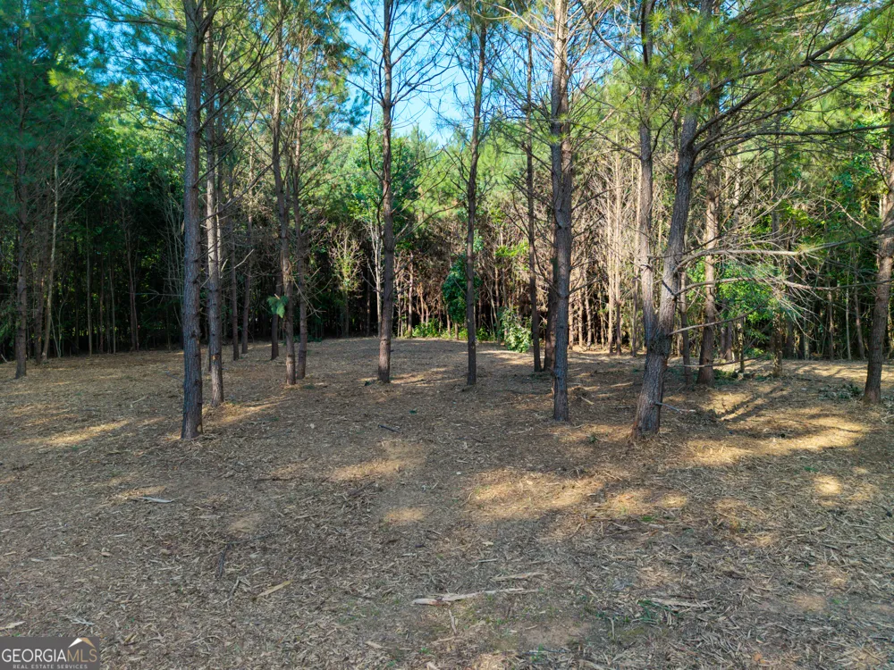 0 Hair Lake RD Summerville, GA 30747