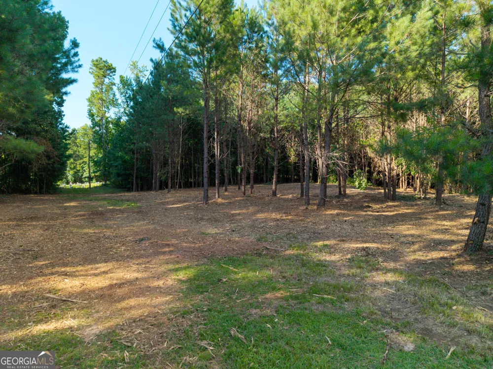 0 Hair Lake RD Summerville, GA 30747