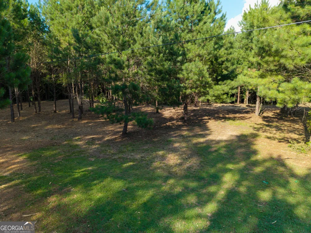 0 Hair Lake RD Summerville, GA 30747