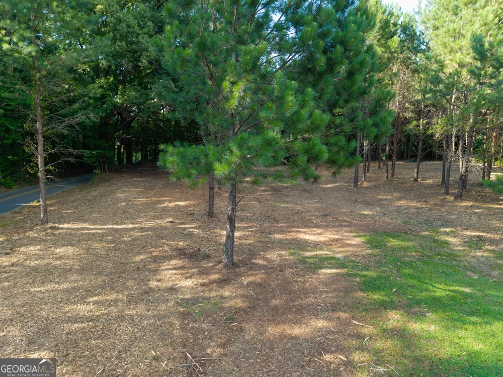 0 Hair Lake RD Summerville, GA 30747
