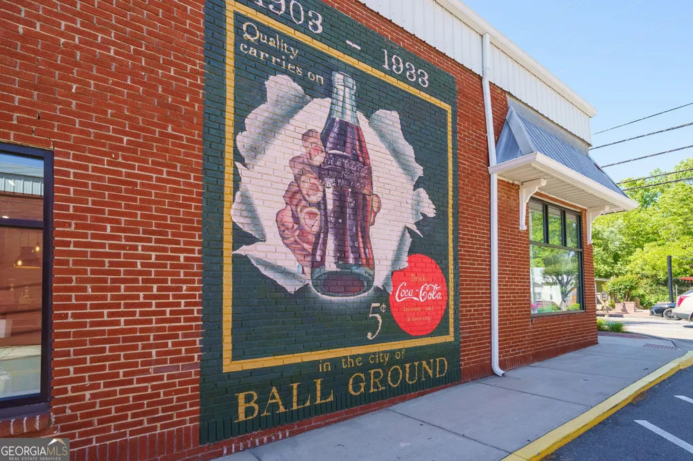 190 Chestnut ST Ball Ground, GA 30107