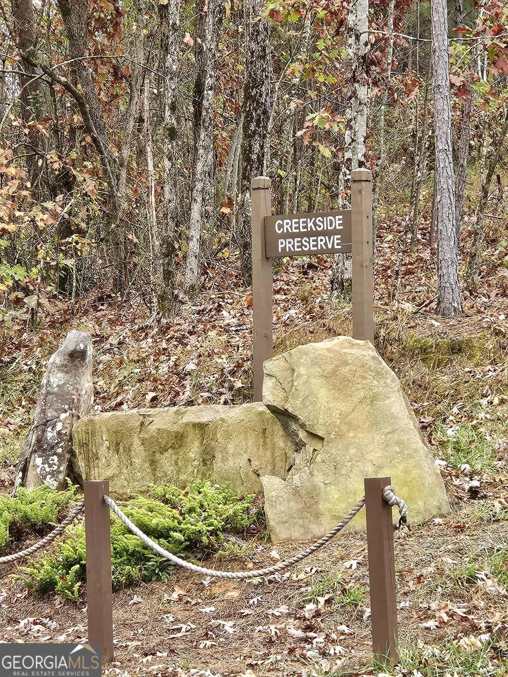 0 Canoe WAY Talking Rock, GA 30175