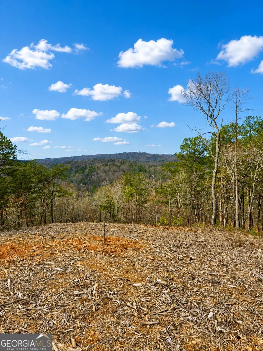 0 Canoe WAY Talking Rock, GA 30175