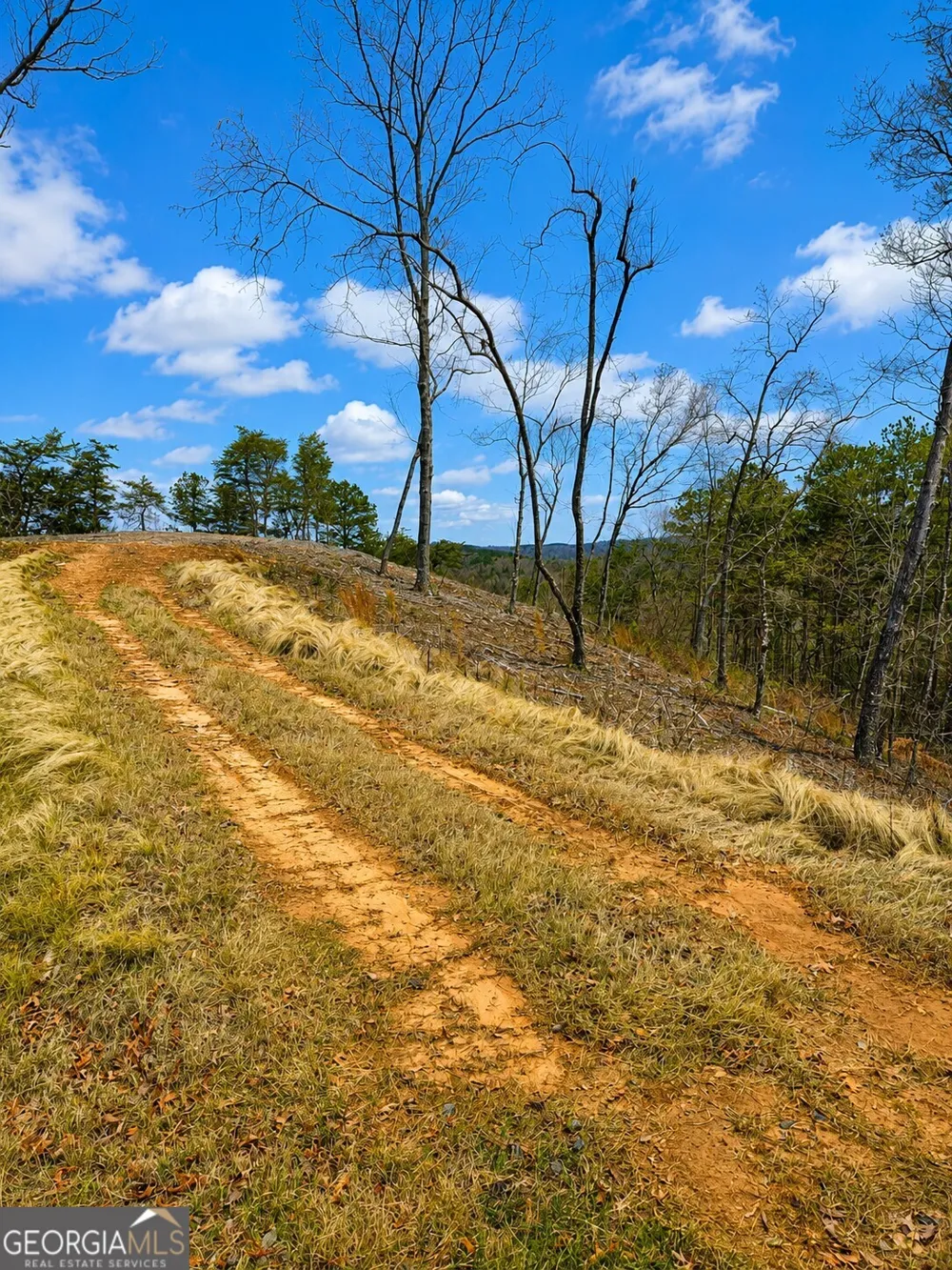 0 Canoe WAY Talking Rock, GA 30175