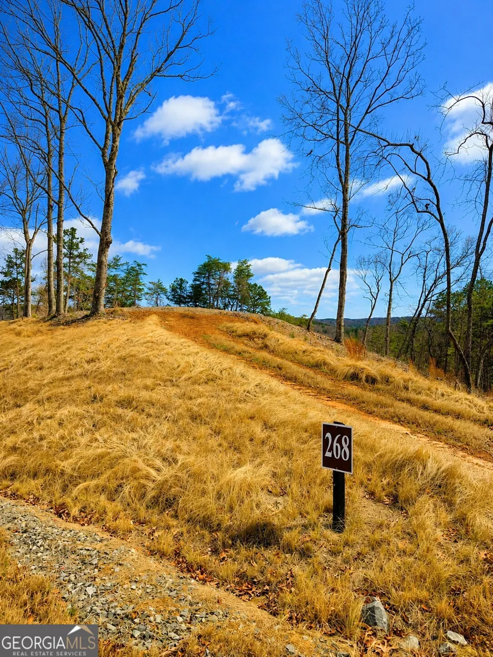 0 Canoe WAY Talking Rock, GA 30175