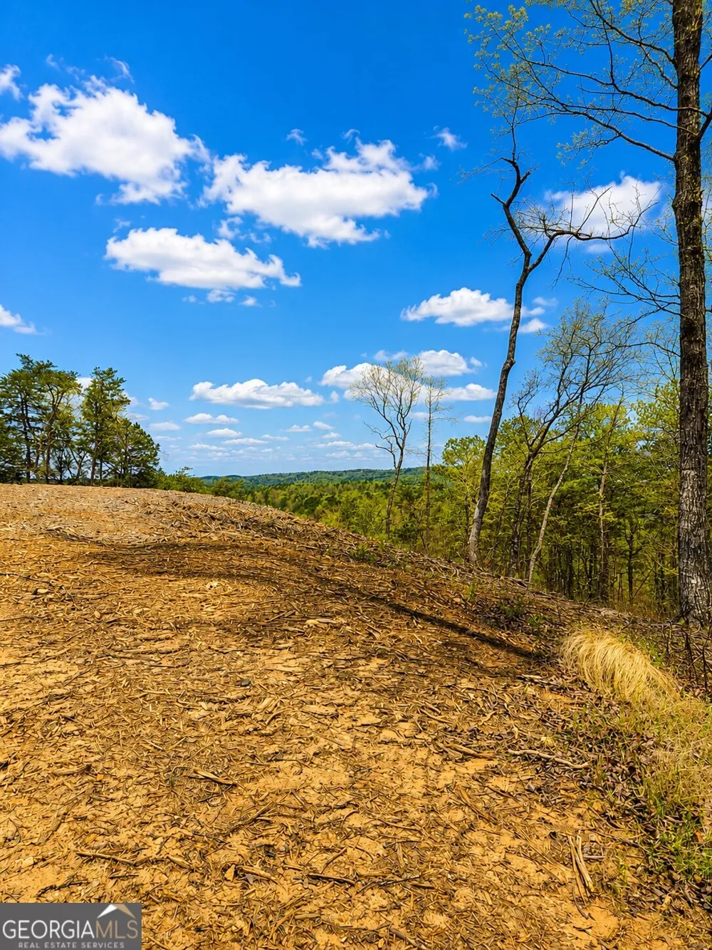 0 Canoe WAY Talking Rock, GA 30175