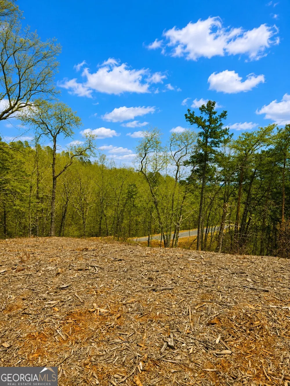 0 Canoe WAY Talking Rock, GA 30175