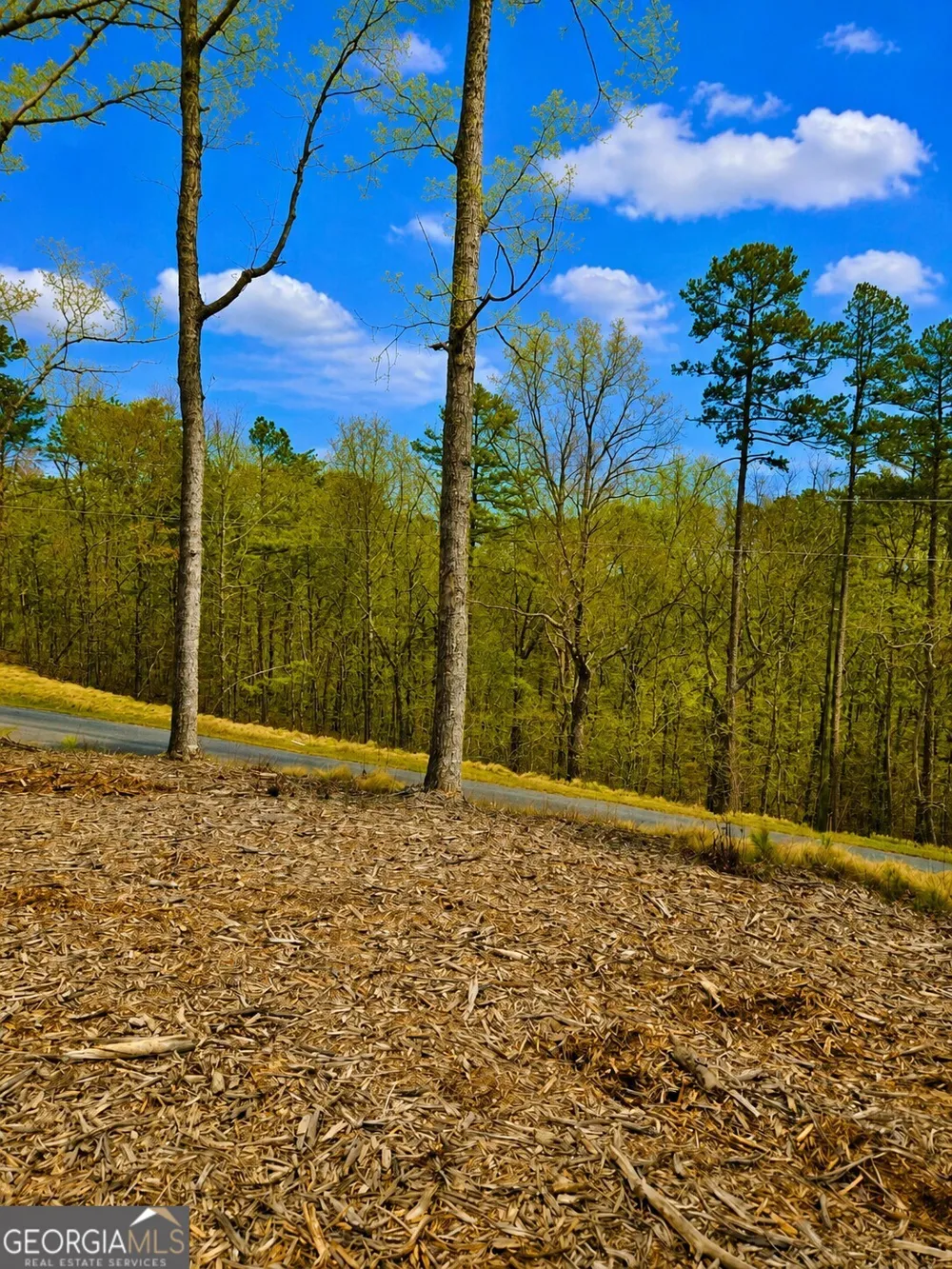0 Canoe WAY Talking Rock, GA 30175