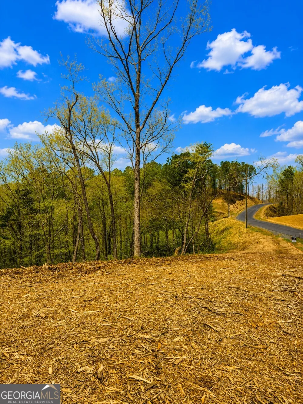 0 Canoe WAY Talking Rock, GA 30175