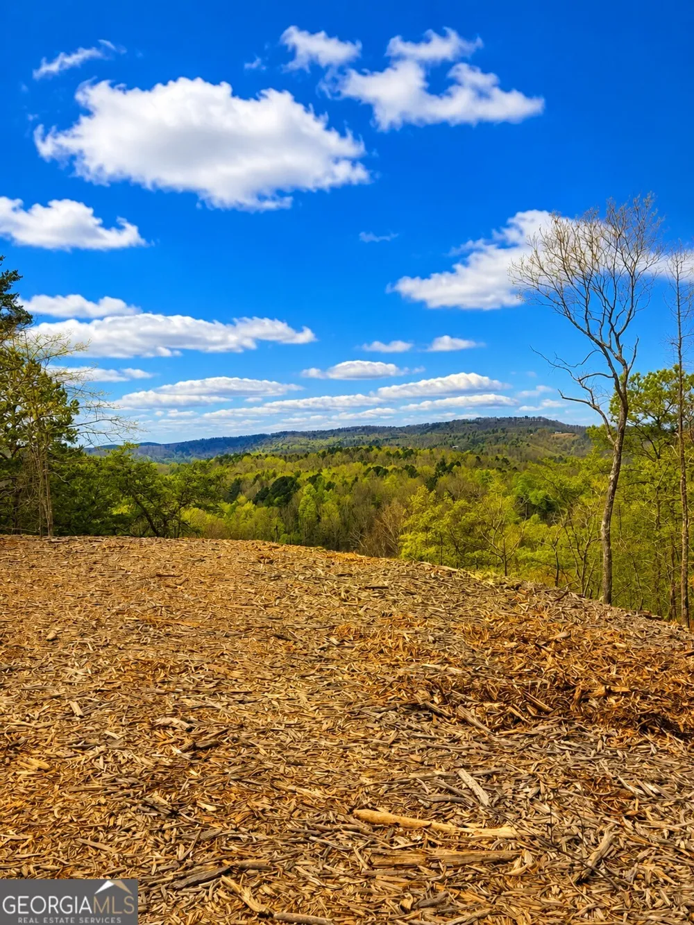 0 Canoe WAY Talking Rock, GA 30175