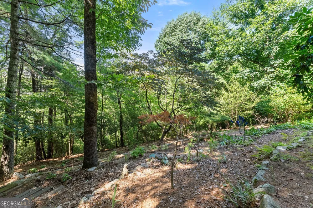 44 Sassafras RDG Jasper, GA 30143