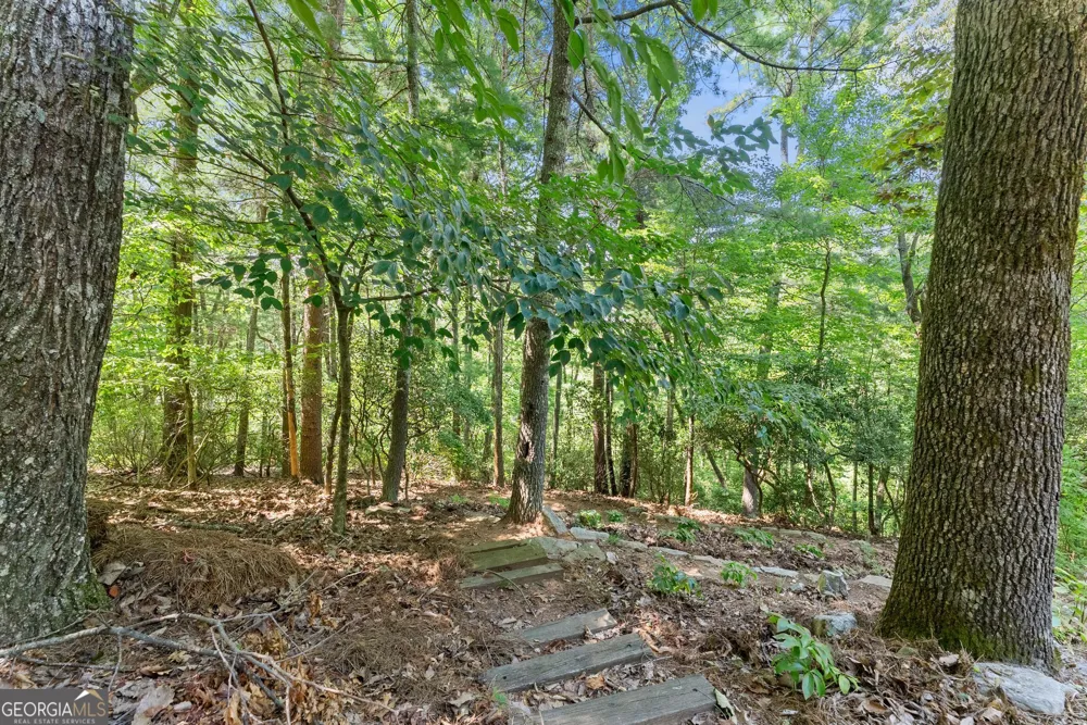 44 Sassafras RDG Jasper, GA 30143