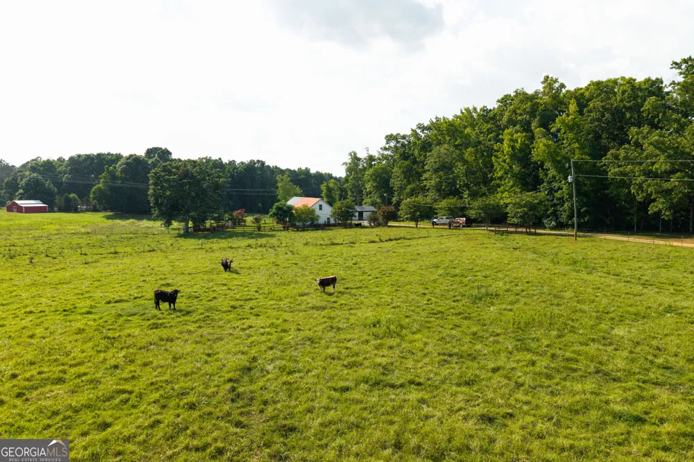 1441 Dickson RD Rutledge, GA 30663