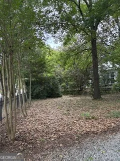 309 E Robert Toombs AVE Washington, GA 30673