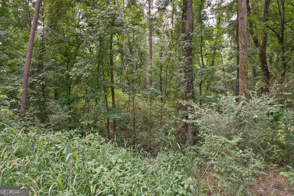 90 Askin Place Culloden, GA 31016